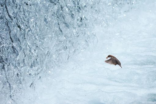 A Gabriele Calcagno il 16/mo concorso fotografico Fondation Grand Paradis “Dall’Inferno al Paradiso”