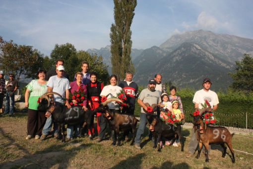 Le reines vincitrici dei bosquets di Challand-Saint-Anselme
