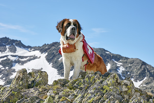 Barryland al Forte di Bard, alla scoperta dei Giganti delle Alpi