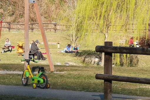 Scemi e imbecilli untori continuano a praticare attività motoria nelle aree chiuse Scemi e imbecilli untori continuano a praticare attività motoria nelle aree chiuse