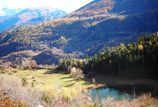 In tour la biodiversità che popola le zone umide in Valle d’Aosta