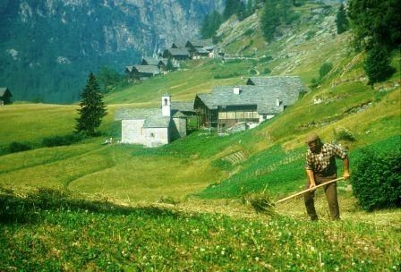 Domanda Pac, si avvicina la scadenza del 15 giugno