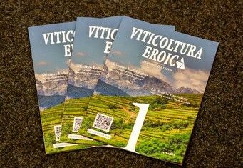 CERVIM, la nuova rivista viticoltura eroica presentata a VINS EXTRÊMES 2025