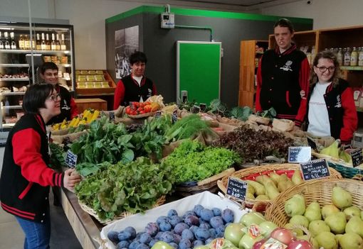 Un reparto del nuovo Forrestor