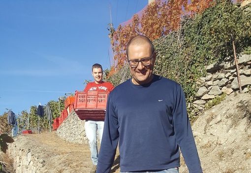 STEFANO DI FRANCESCO 👍 👍 👍