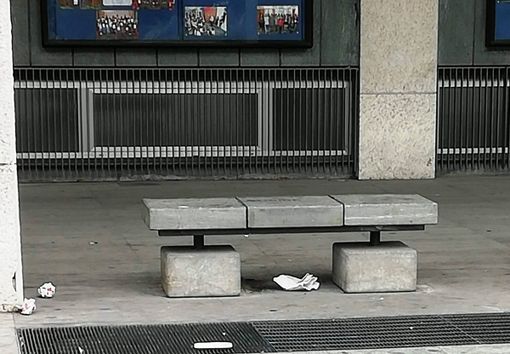 I thunbergisti oltre che a manifestare dovrebbero imparare l’educazione e rispettare il territorio che occupano I thunbergisti oltre che a manifestare dovrebbero imparare l’educazione e rispettare il territorio che occupano