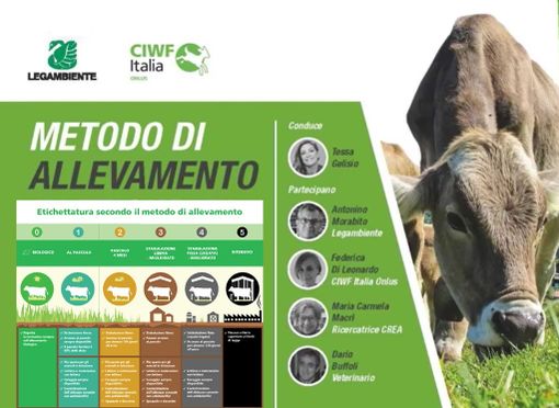 Etichettatura benessere animale: “Tradisce la fiducia dei consumatori prima ancora di arrivare sul mercato” Etichettatura benessere animale: “Tradisce la fiducia dei consumatori prima ancora di arrivare sul mercato”