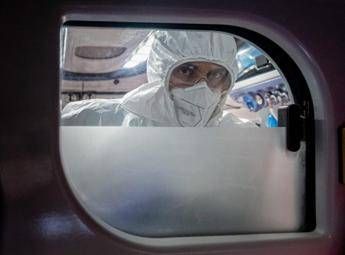 Virus Nipah in Europa e rischi contagio, cosa dice l'Ecdc e i consigli per chi viaggia
