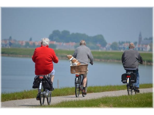 Ue e governi nazionali adattino le politiche di sicurezza stradale alle esigenze di una popolazione che invecchia Ue e governi nazionali adattino le politiche di sicurezza stradale alle esigenze di una popolazione che invecchia