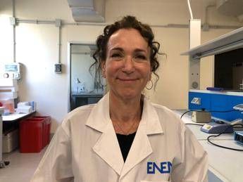 Malattie rare, Triggiani (Enea): "Progettiamo terapia genica innovativa" Malattie rare, Triggiani (Enea): "Progettiamo terapia genica innovativa"