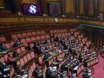 Lep, affitti, banche, tasse e sanità: allarmi e richieste delle associazioni al Senato sulla manovra