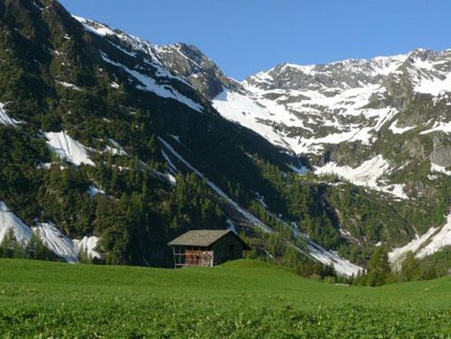 Salendo al Passo Furic (ph. Gulliver) Salendo al Passo Furic (ph. Gulliver)