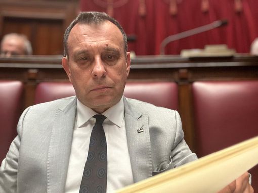 L'on. Franco Manes L'on. Franco Manes