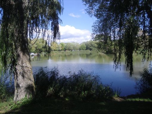 Laghetto di Monieux (ph. di Lodovico Marchisio