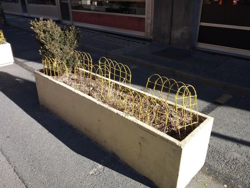 Aosta: Desolante abbandono di via Losanna ma Centoz promette interventi se sarà rieletto