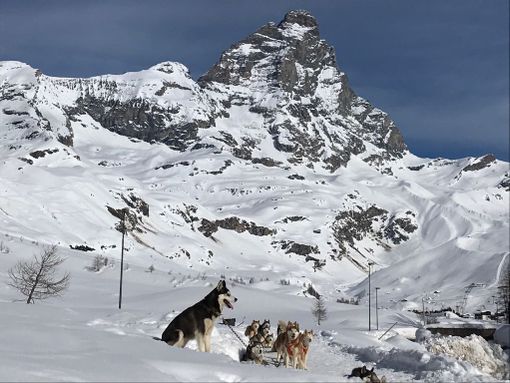 Frana sul versante italiano del Cervino  -VIDEO