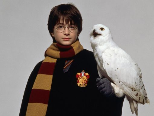 Il maghetto Harry Potter Il maghetto Harry Potter