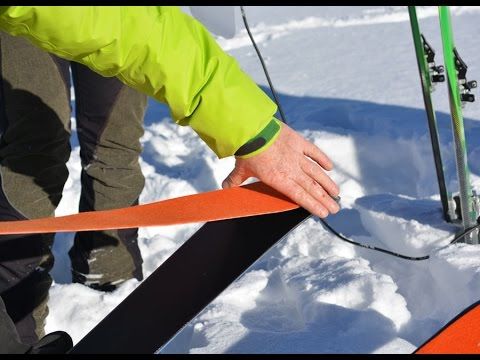 La domada di Corrado De Francesco: Perché in Valle sono vietate le pelli di foca La domada di Corrado De Francesco: Perché in Valle sono vietate le pelli di foca