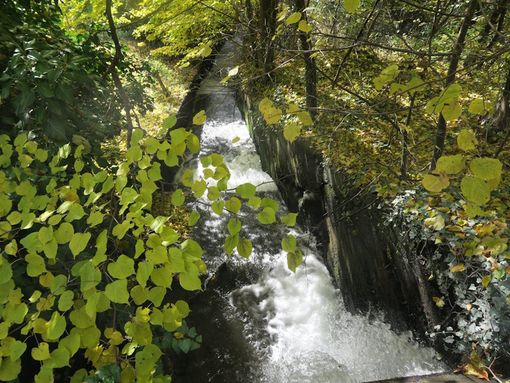 MONTAGNA VDA: RU DE LA PLAINE - SAINT VINCENT MONTAGNA VDA: RU DE LA PLAINE - SAINT VINCENT