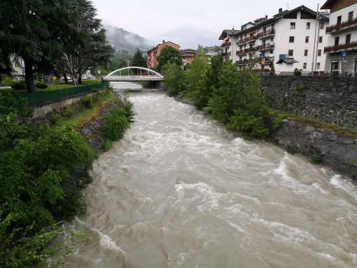 Il buthier ad Aosta questa mattina Il buthier ad Aosta questa mattina