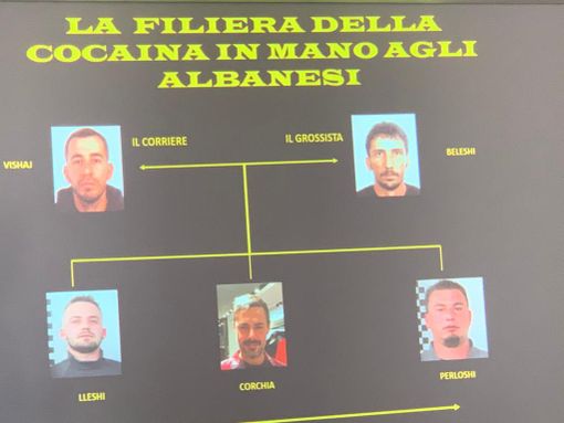 Rete italo-albanese del traffico di cocaina scoperta e 'smontata' dalla polizia Rete italo-albanese del traffico di cocaina scoperta e 'smontata' dalla polizia