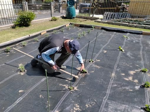 Gressan: Comune avvia progetto ‘Orti sostenibili’