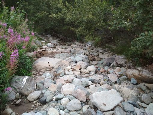 Il tratto del torrente Messuere indicato dalla Forestale come il luogo dove sono stati rinvenute le trote morte