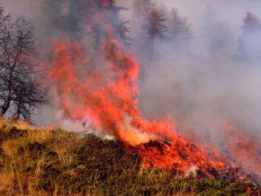 Caldo e clima secco favorioscono gli incendi boschivi