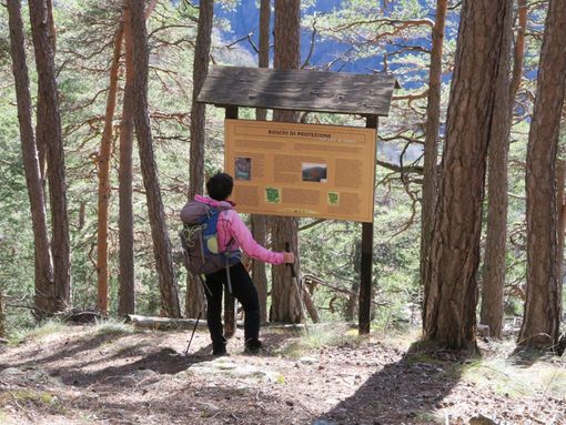 MONTAGNA VDA: LIEX - NATURALISTICO ANTEY-SAINT-ANDRÉ