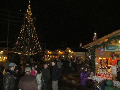 "Marché Vert Noël", procedura telematica aperta per la gestione