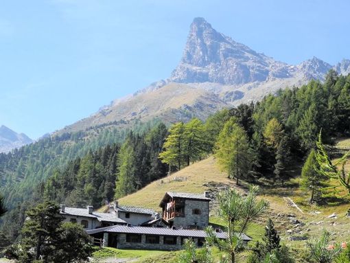 Mont Avic: la natura diventa arte. Due giornate tra pennelli, obiettivi e paesaggi da proteggere