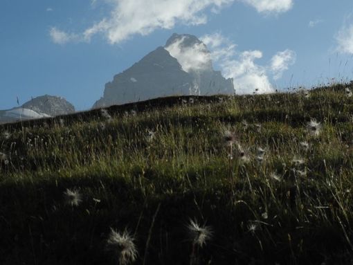 MONTAGNA VDA: L'anello del Rifugio Oriondé (Breuil - Valtournenche)