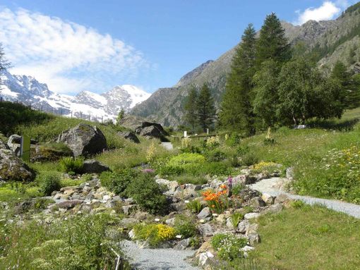 Riaperto lo scrigno di ricchezze Botanico Alpino Paradisia Riaperto lo scrigno di ricchezze Botanico Alpino Paradisia