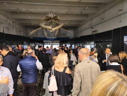 La fauna del Gran Paradiso Museo civico di Zoologia di Roma La fauna del Gran Paradiso Museo civico di Zoologia di Roma