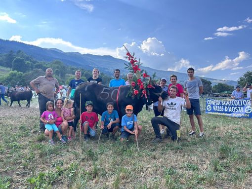 PELORIA di Charbonnier Simon e Julien PELORIA di Charbonnier Simon e Julien