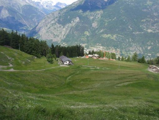 Approvati nuovi criteri per concessione contributi ricomposizione fondiaria