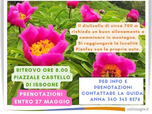 MONTAGNA VDA: La fioritura delle peonie -Issogne