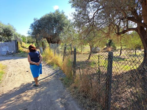 Richiesta di sospensione del pagamento delle quote di contribuzione Consorzio di Bonifica Alto Jonio Richiesta di sospensione del pagamento delle quote di contribuzione Consorzio di Bonifica Alto Jonio