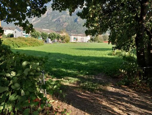 Quartiere Dora, Rocco difende la variante urbanistica: “Nessuna scelta ideologica, ma una valutazione nell’interesse pubblico” Quartiere Dora, Rocco difende la variante urbanistica: “Nessuna scelta ideologica, ma una valutazione nell’interesse pubblico”