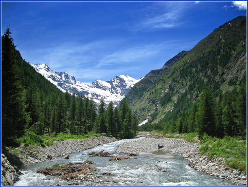 Il torrente Valnontey, che scorre nell'omonima vallata di Cogne