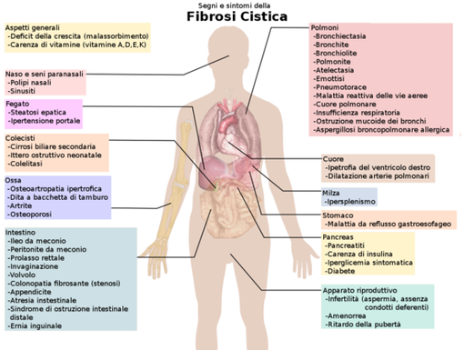 Lega fibrosi cistica VdA organizza eventi di sensibilizzazione ad Aosta e ad Arvier Lega fibrosi cistica VdA organizza eventi di sensibilizzazione ad Aosta e ad Arvier