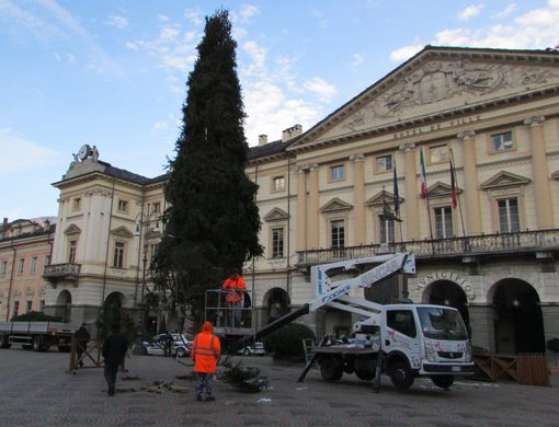 NATALE: Aosta, Sono arrivati gli abeti 'comunali'