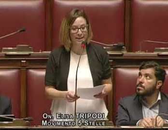 Elisa Tripodi