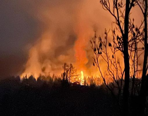 L'incendio è divampato nel pomeriggio di martedì e si è rapidamente propagato nell'area boschiva L'incendio è divampato nel pomeriggio di martedì e si è rapidamente propagato nell'area boschiva