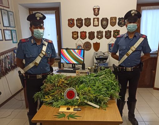 Giovane di St-Vincent denunciato dai carabinieri per detenzione illecita di marijuana