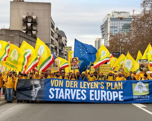 Ue, Masiello “Agricoltura e tabacchicoltura unite contro politiche squilibrate”