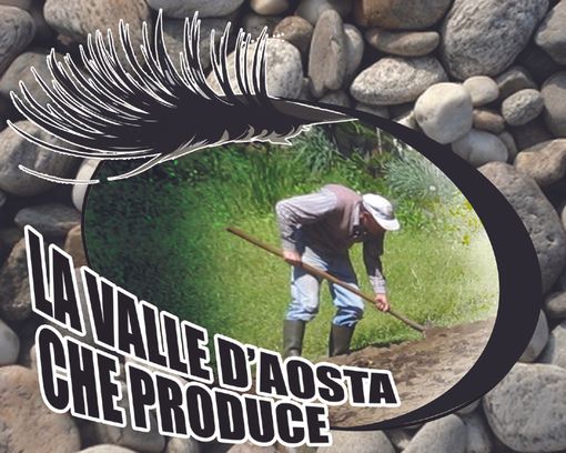 Chambre comunica: Missione ad Aosta di operatori belgi ed olandesi