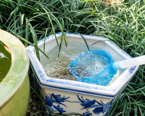 Emergenza idrica: come raccogliere l’acqua piovana in casa Emergenza idrica: come raccogliere l’acqua piovana in casa