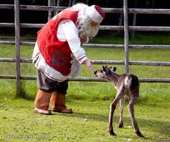 LE PETIT RENNE