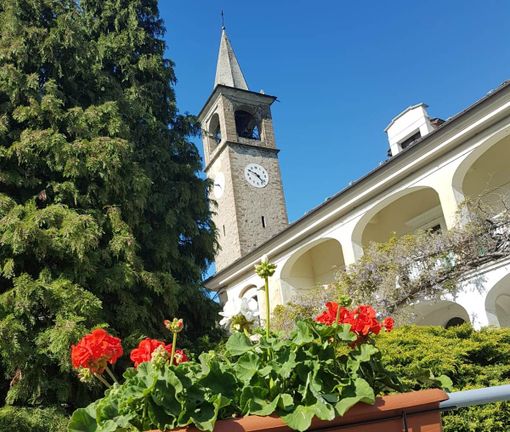 Foto Bonjean Romina (adotta un fiore anno 2021)